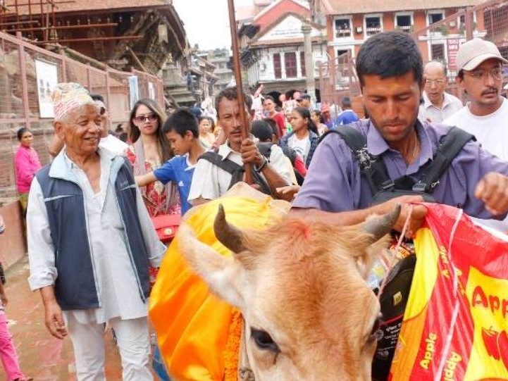 जनैपूर्णिमा र गाईजात्रा पर्व औपचारिकतामा 